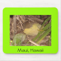We like bananas too! mousepads