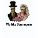 We Like Obamacare shirt