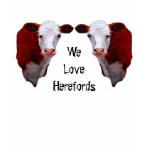 We Love Herefords: Two Duplicate Herefords: Art Tshirt