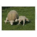we love mom cards by heysje we love mom cards