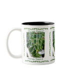 We Love Moringa! Mugs