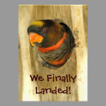 We Moved Announcement invitations