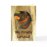 We Moved Announcement cards