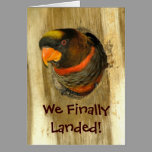 We Moved Announcement cards