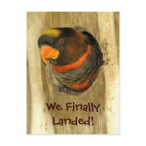 We Moved Postcard