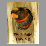 We Moved Postcard postcards
