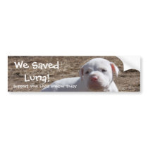 We Saved Luna! bumper stickers by beverlytazangel We Saved Luna! bumper stickers