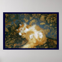 We should all be so cute... print