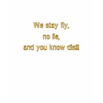 We stay fly,no lie,and you know dis!!! t-shirts