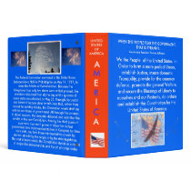 WE THE PEOPLE BINDER