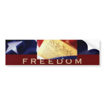 we the people constitution Bumber Sticker bumper stickers