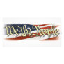 We The People Photo Card Template
