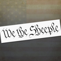 We the SHEEPLE bumper stickers by My2Cents We the SHEEPLE bumper stickers