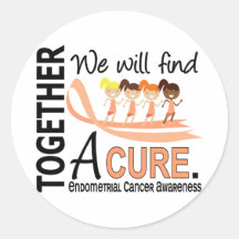 We Will Find A Cure Endometrial Cancer Stickers