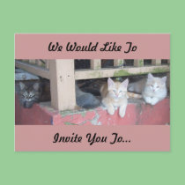 We Would Like To Invite You To... postcards