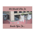 We Would Like To Invite You To... postcards