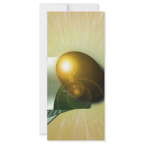 Wealth Custom Rack Cards
