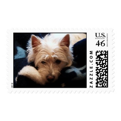 Weary Westie Postage Stamp by sethevans