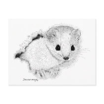 Weasel postcards by WildlifeInk Weasel postcards