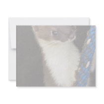 Weasel, Short-tailed Invitations
