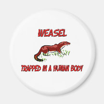 Weasel trapped in a human body fridge magnet