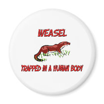 Weasel trapped in a human body fridge magnet