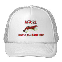 Weasel trapped in a human body mesh hat
