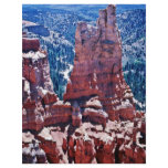 Weather Carved Pinnacles - Bryce National Park flyers