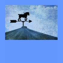 Weather Vane t-shirts