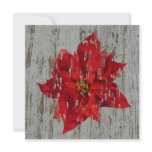Weathered Poinsettia Winter / Christmas Wedding Invites