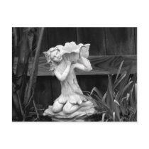 Weathered  Statue Postcard
