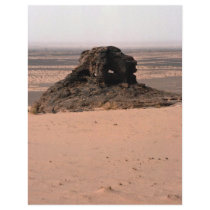 Weathered surrealistic sandstone rock, Niger rock Custom Flyer