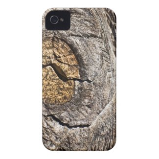 Weathered Wood Textures iPhone 4 Case