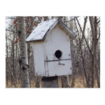 weathered wooden bird house by Kim Newberg postcar Postcard