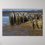 Weathered & Worn Posters
