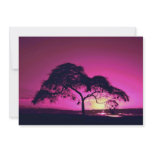 Weaver bird nests in silhouetted tree, Arusha Nati Invite