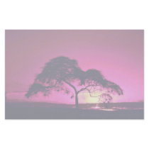 Weaver bird nests in silhouetted tree, Arusha Nati Personalized Stationery