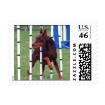Weaving Agility Red Doberman postage by MenagerieMayhem Weaving Agility Red Doberman postage