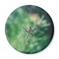 Web Crawler - magnet