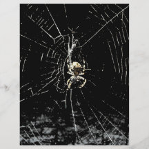 Web de araña en la medianoche tarjetones