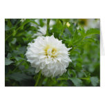 Web Flower Card