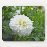 Web Flower Mousepad