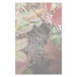 Web of Dewdrops stationery