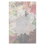 Web of Dewdrops stationery