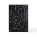 Web Wonder cards