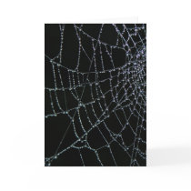 Web Wonder cards