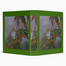 Webbed Acer Binders