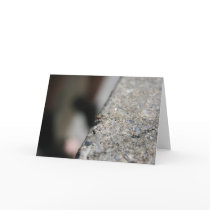 Webbing cards