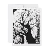 WEBBY TREE BLACK AND WHITE invitations by VoXeeD WEBBY TREE BLACK AND WHITE invitations