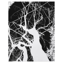 WEBBY TREE BLACK AND WHITE NEGATIVE FLYERS